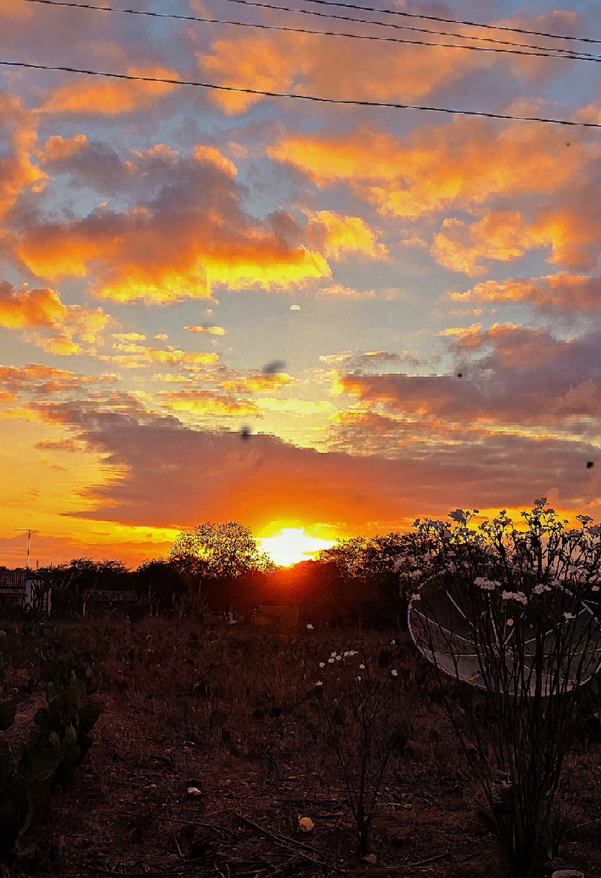 amén! 🙌🏻😇 #caminhãoqualificado #curtamentragemdecaminhao #Caminhoneiro #caminhão #viagemdecaminhão