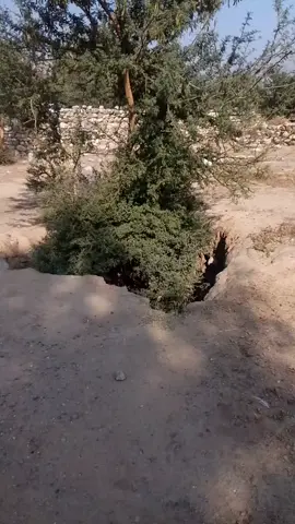 #for your for your for your for your for your for your for your for your for your for your for you for you for you locations again