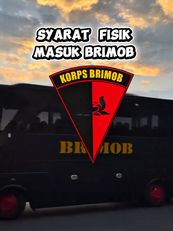 Syarat Fisik masuk Brimob Simak dan siapkan mental kalian patriotmudaperkasatrenggalek 🔥💪🏻 --‐‐-------------------‐----‐------------------------------------ Kantor Pusat Patriot Muda Perkasa 📍Jln. Ki Mangun Sarkoro No. 18, Beji. Tulungagung 📞 0857 - 0727 - 1045 Kantor Cabang : 📍Jln. Raya Ngetal, Pogalan, Trenggalek 📞 0878 - 1840 - 0986 📍Jln. Kalimantan Ruko Niaga 3 Kav.5, Sananwetan, Blitar 📞0857 - 4526 - 2808 📍Perumahan Mojoroto Indah W-4, Sukorame, Mojoroto, Kota Kediri 📞0813-3192-3746 #bimbelstan #bimbelsekolahkedinasan #lessekolahkedinasan  #bimbelkedinasantulungagung #bimbelkedinasantrenggalek 