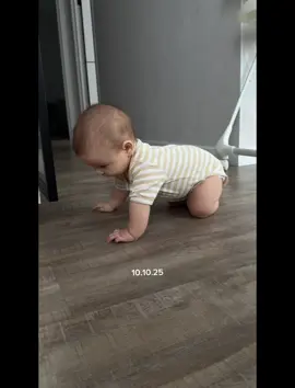 Эволюция Тима в месяцах и днях  С первых попыток до настоящих четверенок) #россия #тюмень 