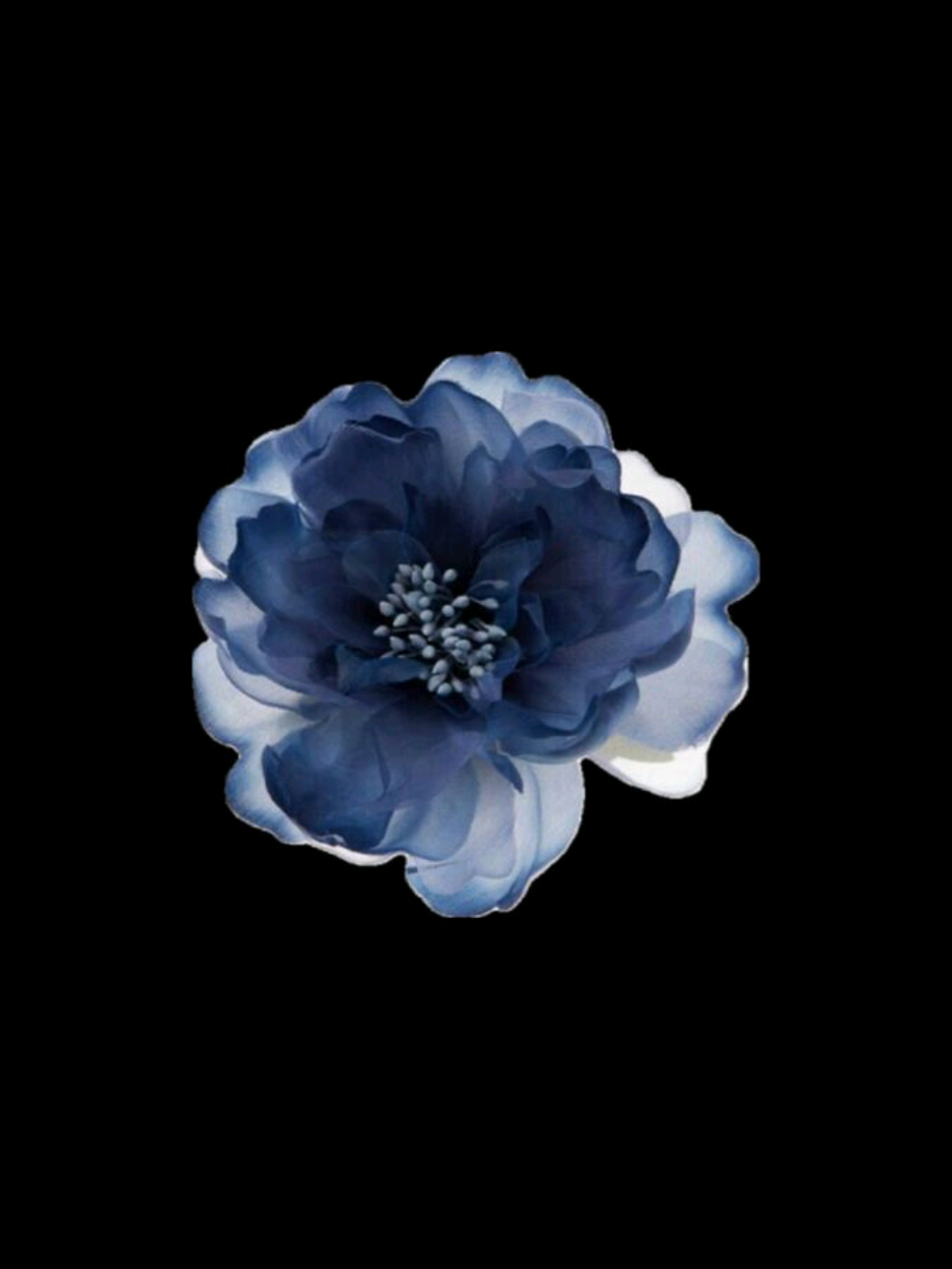 Wildflower....  وایبش خداست..  فالو کن خوشگله .  .  .  #lyrics #lyricvideo #music #fyp #foryou #persianmusic #songlyrics #sadvibes #tiktokmusic 