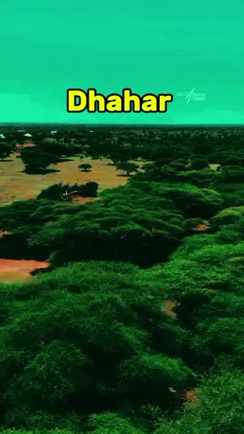 Dhahar first city haylan #fouryourpage #foryoupage #foryoupage #fouryourpage 