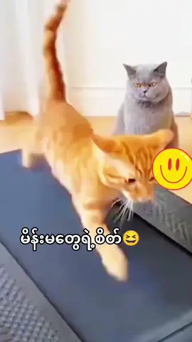 #ဟာသလေးများ🤣🤣🤣 #f 