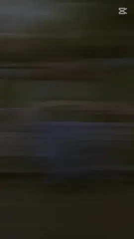 aiနဲ့ဘာညာပေါ့😁 #မြင်ပါများပီးချစ်ကျွမ်းဝင်အောင်လို့🤒🖤 #ချစ်စရာကောင်းတာတစ်ခုပြမယ်🎀 