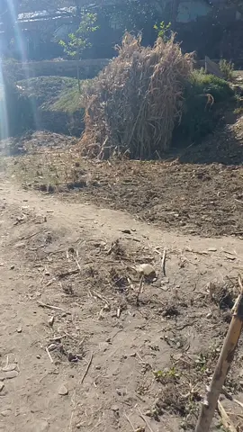 #Tip for live studio #every #one #account #1millionaudition 