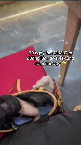 Đủ wow chưa mấy bà ‼️ #mmo #viral #fypシ #xuhuongtiktok 