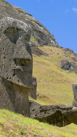 Les mystérieux Moaïs de l’Île de Pâques, au Chili, défient le temps 🗿 Un voyage vers l’inconnu, chargé d’histoire. 🌍 Réservez votre aventure vers l’exceptionnel avec Resapass. #easterisland #chili #moai #lieumystique #resapass #voyagedumonde #voyageinsolite #reelvoyage #ileperdue #cultureancienne