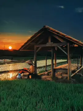 #papatahkahirupan  #papatahsunda  #cianjurstory  #masukberandamuu  #masukberandafyp 