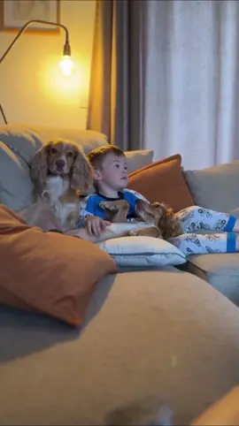 The dog is a baby's best friend❤️🥰#dog #baby #bestfriend #Love #foryou #usa🇺🇸 