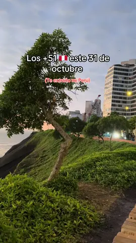 Feliz día de la canción criolla 🇵🇪  #maleconmiraflores #musicacriolla #perú #peruanosenelmundo #parati 