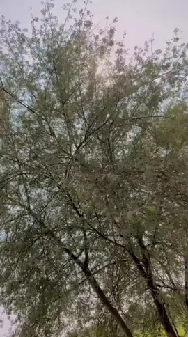 ❤️❤️❤️❤️❤️❤️foryou@𝑴𝒖𝒎𝒕𝒂𝒛 𝒓𝒂𝒉𝒊𝒎𝒐𝒐𝒏 