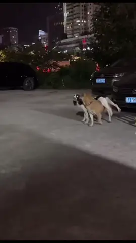 if this ain’t love iowant it 🥺 