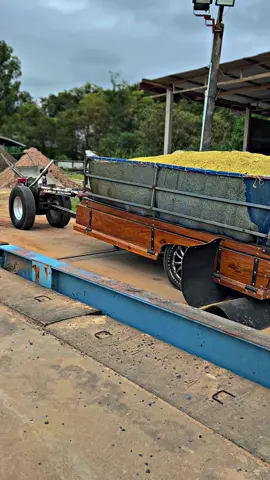 #CapCut #ท้ายลากหมา #อนิวัตติ์ 