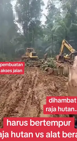 gajah vs alat berat