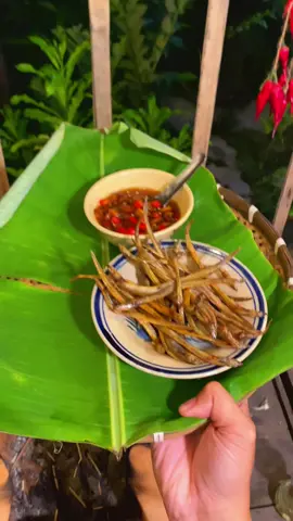 Khô cá sụn sịn mắm me #xuhuong 