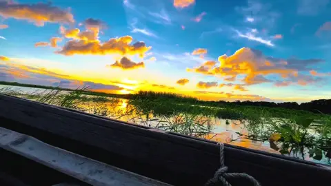 দূরের আকাশ ভাবছে তোমাই দেখে ❤️‍🩹🙂 #foryoupage #fyp #tiktokbangladesh #bdtiktokofficial🇧🇩 #unfrezzmyaccount @TikTok @TikTok Bangladesh 