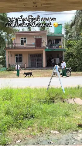 ဆိုင်ရှေ့တည်တည့်ကိုခွီးနေတာ ဆိတ်တော့မကောင်းဘူး ညီလေးရာ 🤣#fyp #2025 #tysonmin #tysonminn 