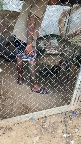 🥰📌#เมธาฟาร์ม🐓❤️‍🔥 #หนุ่มน้อยซอย19🐓🍁 #ti̇ktok 