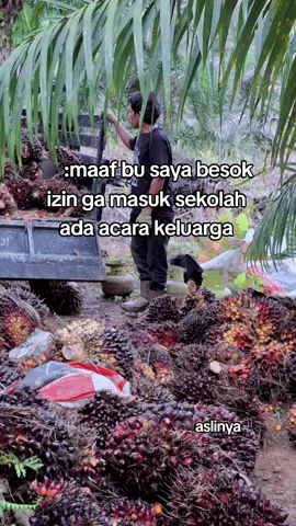 #petaniindonesia🇮🇩🇮🇩🇮🇩🌿🌿 #sawitontiktok🌴 #fypsawit #fypsawitkalimantan #fypsawit 