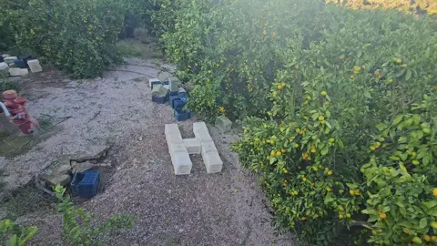 #اعاده_نشر🔁 #حمندش_السراوي 