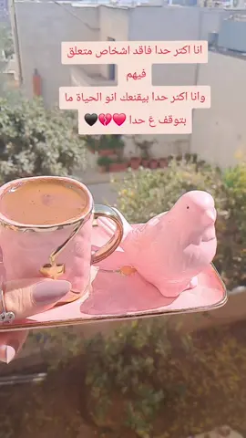 عِجاف القُلوب لَن ينفع معهُم ود، حتى لو زَرعت لهُم سبع سِنين سنابل محبة..💛🌻#صباح_الخير #جمعة_مباركة_عالجميع 