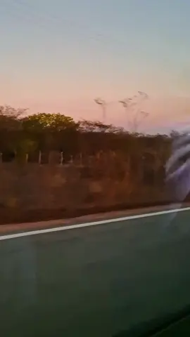 Rodando por esse Brasilzão e me deparando com paisagens que só ele tem! 🌞🚗🇧🇷 #Brasil #Brasilzão #Natureza #PaisagensDoBrasil #ViagemPeloBrasil 