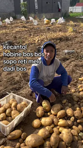 bismillah nular dadi boss🤲🏻 #petani #petanimuda #perintisbukanpewaris #petaniindonesia🇮🇩🇮🇩🇮🇩🌿🌿 #bossmuda 