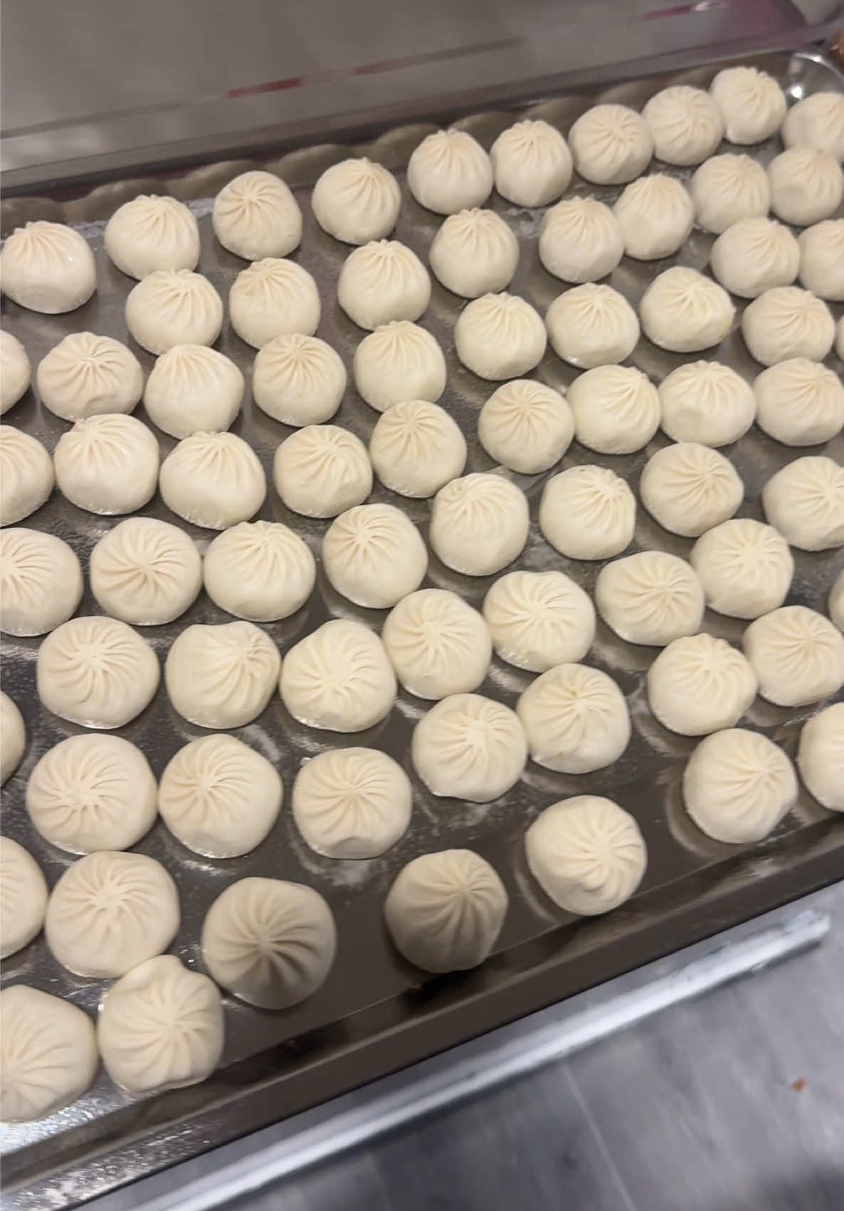 Juicy Chicken, Creamy Paneer, and Flavor packed Mix Veg ... the perfect bite in every momo! 😋✨ Available now at Momoverse! #FrozenMomo #momoverse #nepali #newzealand #fyp 