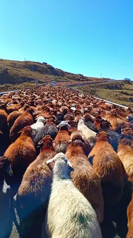 #keşfet #keşfetteyizzz #kars #morkoyun #ığdır76 