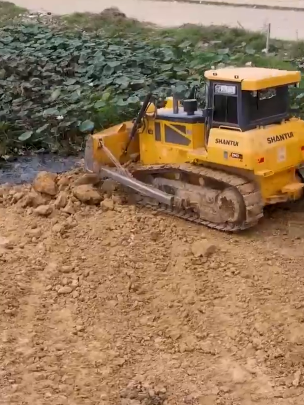 Amazing Activity Update Project Filling Big Lake by Amazing Bulldozer SHANTUI with Dump truck 25Ton#build #komatsu #dumptruck #excavator #construction #bulldozer #road