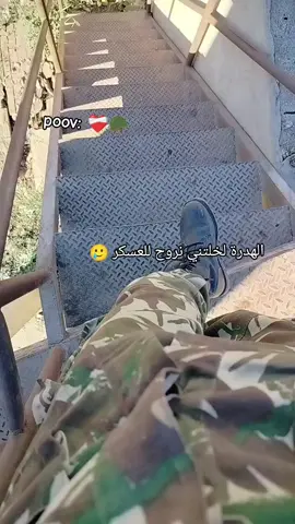 #جيش_الوطني_الجزائري #الجزائر🇩🇿_تونس🇹🇳_المغرب🇲🇦 