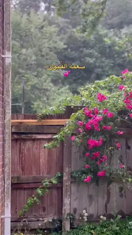 للهم اجعلنا من المقبُولين بكرمك. 💕 #اذكار #اذكار_المسلم #قرآن #قران_كريم #اجر_لي_ولك 