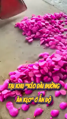 Khu “Kéo dài đường Ăn kẹo” Ấn Độ #sanhantv #xuhuong #trending #viral #india 