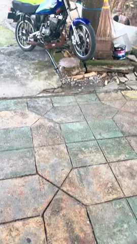 pajangan omah🤣 #rxking #fyp #mabokblayer 