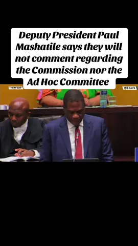 #madlangacommission #catmatlala 