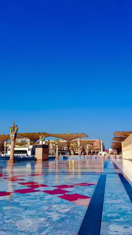 إِنَّ اللَّهَ وَمَلَائِكَتَهُ يُصَلُّونَ عَلَى النَّبِيِّ ۚ يَا أَيُّهَا الَّذِينَ آمَنُوا صَلُّوا عَلَيْهِ وَسَلِّمُوا تَسْلِيمًا #درودشریف_پڑھ_کر_آگے_شیئر_ضرور_کرے #allah #muhammad #tiktok #subhanallah 