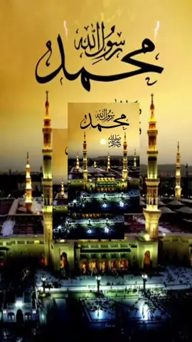 #أللهم_أمين__يارب____العالمين🍂🖤 #الحمدلله_دائماً_وابداً💚🌧️🤲 #ابوني_ياك_باطل_ولا_حنا_مانستاهلوش #شعب_الصيني_ماله_حل😂😂 #الجزائر🇩🇿_تونس🇹🇳_المغرب🇲🇦 