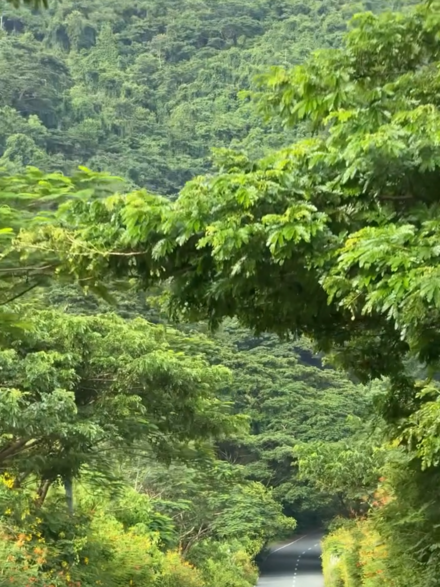 Visit Uganda. Enjoy the Pearl of Africa 🌍  #ProtectingTheGains #yowerikagutamuseveni #peace #uganda 