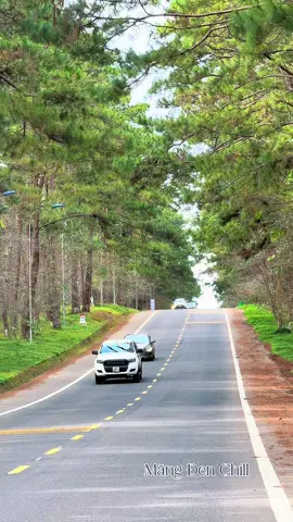 Lưu video về ghép nhạc up đâu up😂#mangden #reviewmangden #canhdep #fly #mangdenchill 