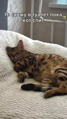 #юморок #позитивчик 