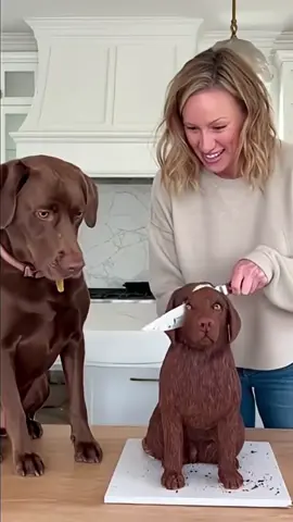 Funny dog reaction 🍰🎂 prank🤣😂 #frppppppppppppfyp #viral #dog #prank #cake