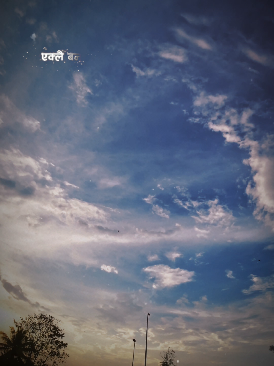 #CapCut #sadlines #nature #mseditz0111 #creatorsearchinsight 