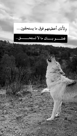 #F #fyp #f #شعب_الصيني_ماله_حل😂😂 #شلفاوة_والحلاوة🔥 