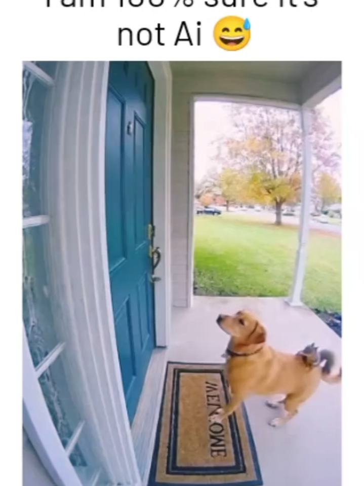 AI has officially turned animal teamwork into an action movie. Thanks to OpenAI’s Sora 2, the internet is going wild over hyper-realistic clips of a squirrel riding a dog like a battle mount — waiting at a stranger’s door and opening fire with a tiny minigun the moment it swings open. What started as a meme has become a viral showcase of how far AI video generation has come. Sora 2 can now recreate cinematic motion, realistic physics, and chaotic cartoon energy — all from a single text prompt. The result looks so real you might actually believe you just watched the trailer for Squirrel Warfare. It’s wild, hilarious, and absolutely over-the-top all at once. Would you open the door or duck for cover? 👀💬 Join the fastest-growing AI community on TikTok @longliveai #ai #sora #squirrel #dog #viral #meme #aivideo #aiart #sora2 #openai