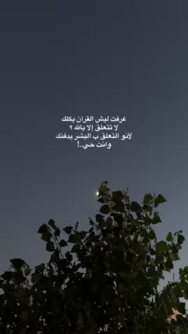 #fyp #foryou #viral #تصويري📷 #تصويري_احترافي_الاجواء👌🏻🕊😴 