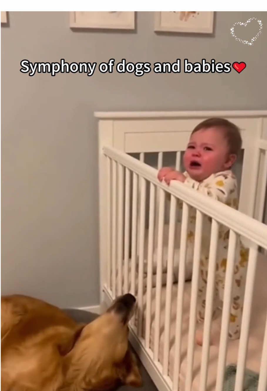 Dogs are babies good friends 🥹#baby #puppy #dog #fyp #tiktok 