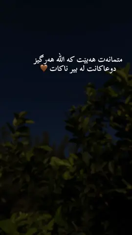 #foryou #fyp #tiktok 