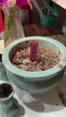 #1พฤศจิกายน68 #สลากกินแบ่งรัฐบาล #หวยรัฐบาลไทย #หวยไทย #เปิดการมองเห็น 