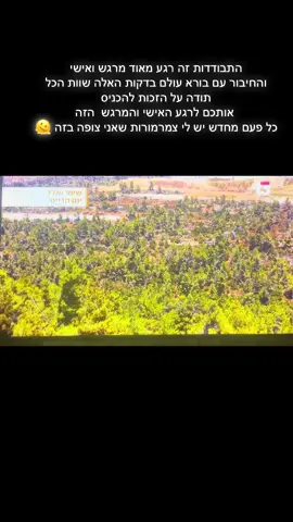 התבודדות החיבור לבורא עולם 🫶🏻 #התבודדות # ווארט עונה 2 @רשת 13 @ווארט 2024 