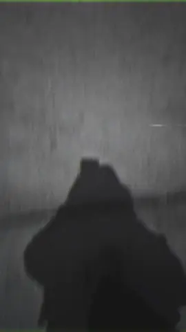 #parati #viral #contraelcancerdemama🎀🎀🎀 #majestadescanor🤴🏻☀️👸🏻🦁 #reflexion 